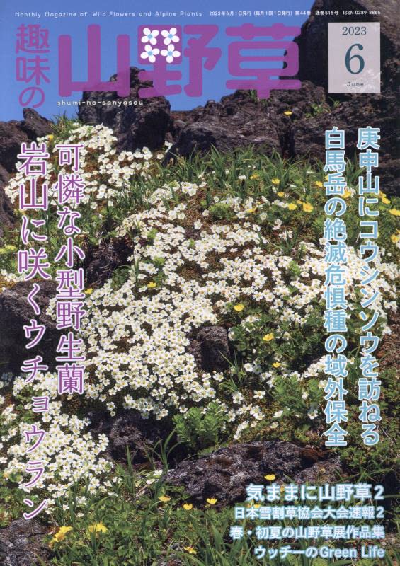 趣味の山野草2023年6月号 | 栃の葉書房 |本 | 通販 | Amazon